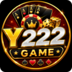 Y222 Game